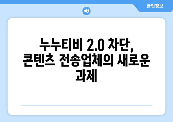 제2누누티비 차단: 콘텐츠전송업자에 의무 부과