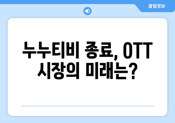 누누티비 종료: OTT 시장에 미치는 영향