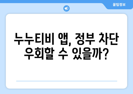 누누티비 전용 앱으로 정부 차단 회피 가능?