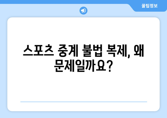 스포츠 중계 불법 복제에 반대하는 캠페인