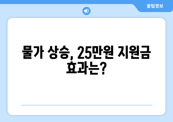 25만원 민생 회복 지원금으로 화폐가치 하락?