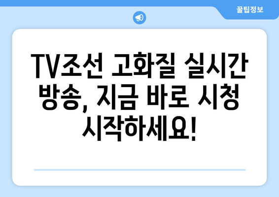 TV조선 고화질 실시간 시청 편성표