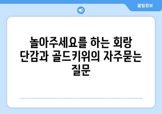 놀아주세요를 하는 회랑 단감과 골드키위