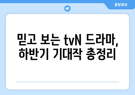 2024 하반기 tvN 드라마와 예능 라인업 소개