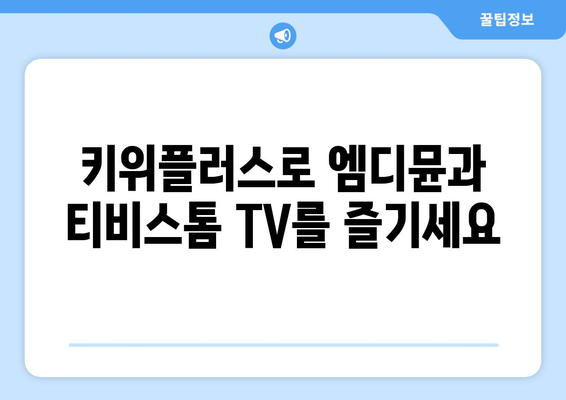 키위플러스 기기로 엠디뮨와 티비스톰 TV 시청 즐기기