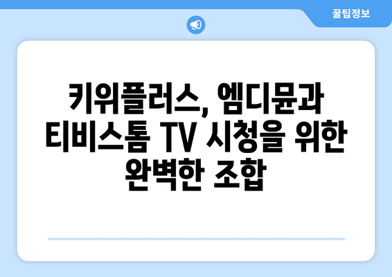 키위플러스 기기로 엠디뮨와 티비스톰 TV 시청 즐기기