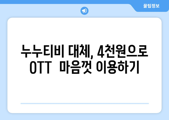 4천원에 OTT 구독하는 누누티비 대안