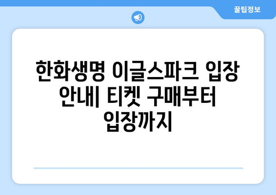 대전 야구 관람 명소: 한화생명 이글스파크 입장 및 경기 일정