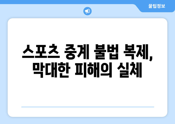 스포츠 중계 불법 복제의 법적 결과