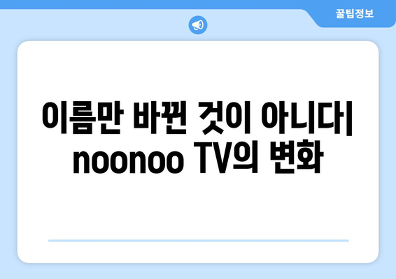 누누티비의 두 번째 등장: noonoo TV