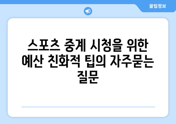 스포츠 중계 시청을 위한 예산 친화적 팁