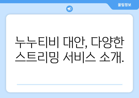 누누티비 대체 가능한 사이트 추천: 법적 옵션 선택