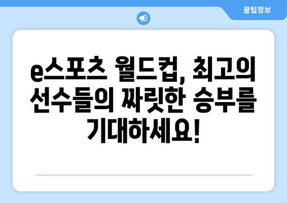 e스포츠 월드컵 한국어 중계 시간 및 조 편성