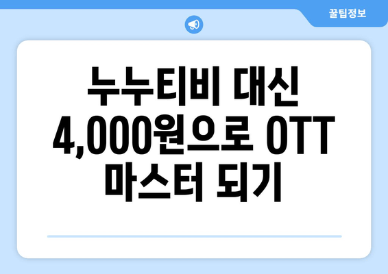 누누티비 대신 4,000원으로 OTT 구독법