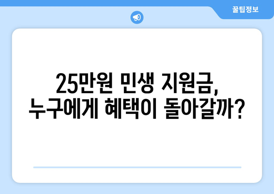 경제 이슈 분석: 25만원 민생 지원금