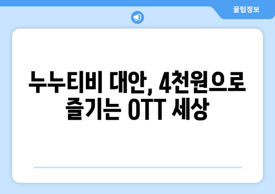 한 달에 4천원으로 OTT 시청할 수 있는 누누티비 대안