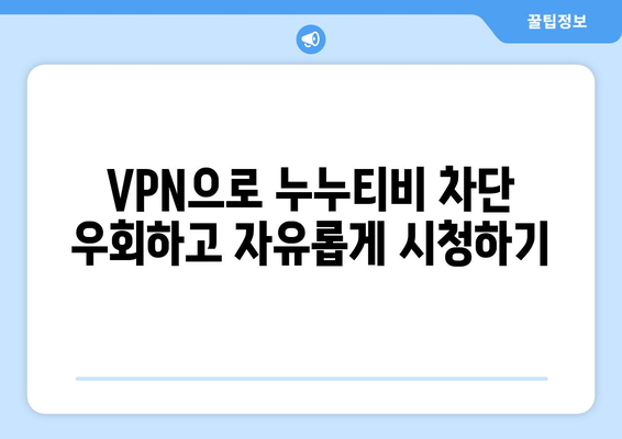 안전한 VPN을 통한 누누티비에 대한 접근성