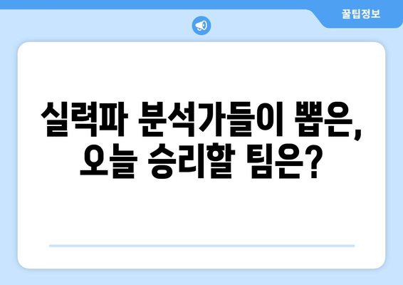 국내 야구 분석 및 무료 스포츠 중계 추천