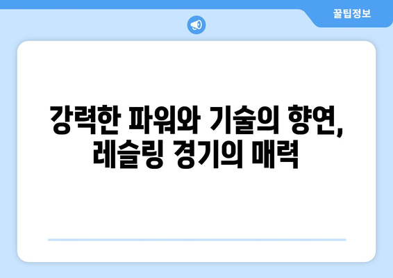 파리 올림픽에서 놓칠 수 없는 스포츠 경기