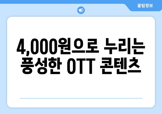 누누티비 없이 OTT를 4,000원에 구독하는 방법