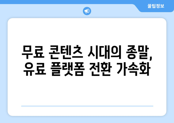 누누티비 종료, 넷플릭스 대체 불가