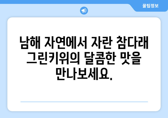 참다래 그린키위: 남해의 자연스러운 달콤함