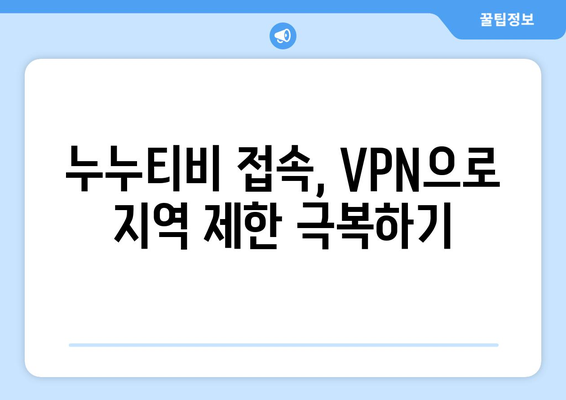 안전한 VPN을 통한 누누티비에 대한 접근성