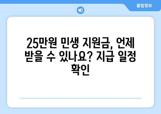 25만원 민생 지원금