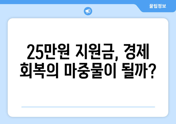 경제 회복의 열쇠: 25만원 지원금의 힘