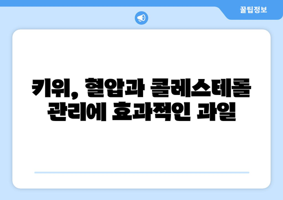 건나물티비골드건강유튜브: 키위의 건강상 이점