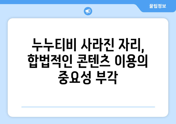 누누티비 종료, 넷플릭스 대체 불가