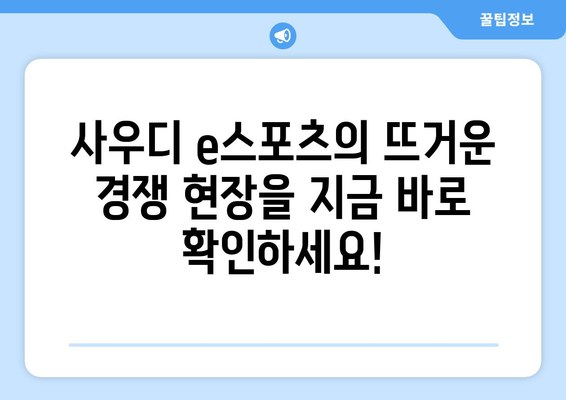 사우디 e스포츠 일정 및 중계 안내