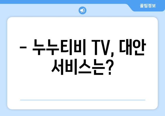 누누티비 TV: 개요 및 서비스 정보