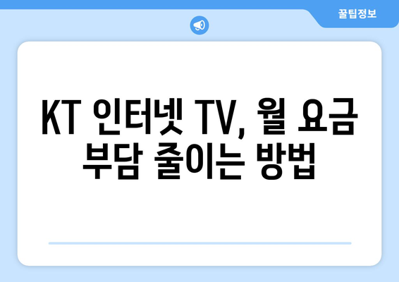 KT 인터넷 TV 가입 요금제 비교