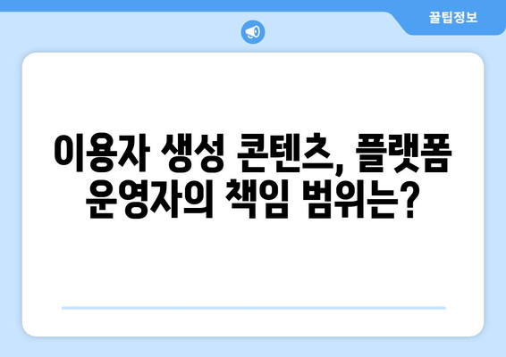 티비위키 및 유사 서비스 법적 책임