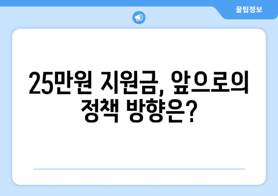 경제 이슈 분석: 25만원 민생 지원금