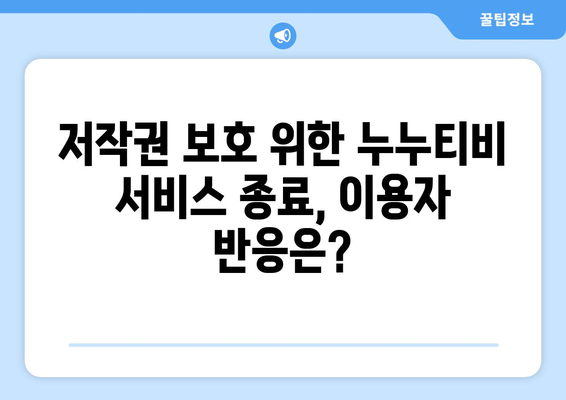 넷플릭스 대체: 누누티비 서비스 종료