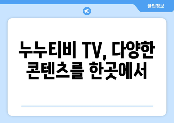 누누티비 TV: 알아두면 좋은 것들