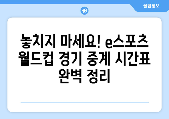 e스포츠 월드컵 조 편성 및 중계 시간표