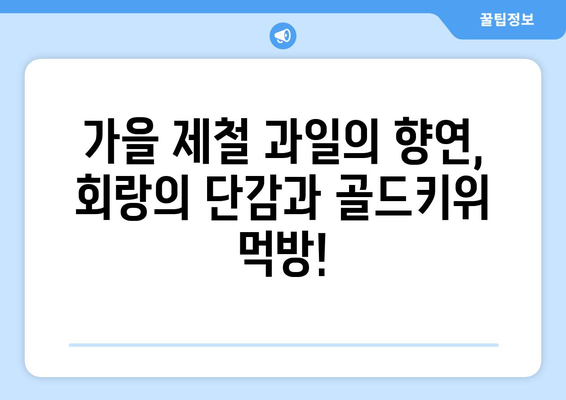 회랑의 단감 골드키위 먹기방송