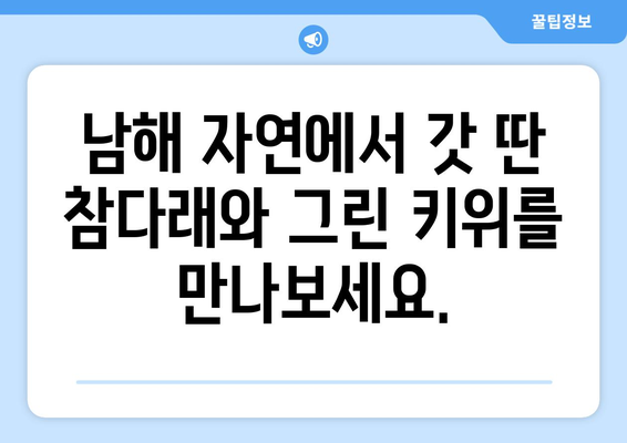 남해 참다래와 그린 키위 판매 안내