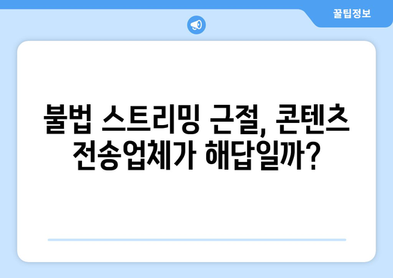 "제2의 누누티비 차단": 콘텐츠 전송업체에 의무 부과