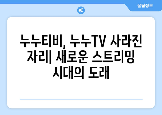 누누티비와 누누TV에 대해