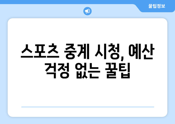 스포츠 중계 시청을 위한 예산 친화적 팁