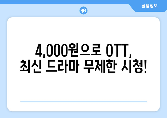 4,000원으로 OTT 가입하는 방법