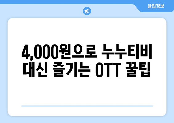 누누티비 대신 4,000원으로 OTT 구독법