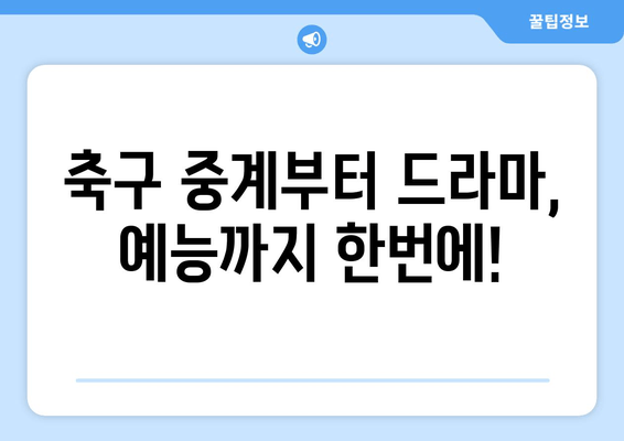 축구, 드라마, 예능까지! TV조선 온에어 무료 시청 가이드