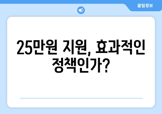 저소득층 지원의 과감한 시도: 25만원 지원금의 찬반 논쟁