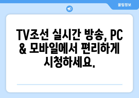 TV조선 고화질 실시간 시청 편성표