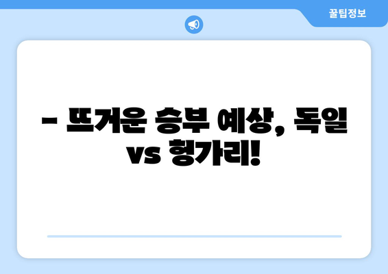 유로 2024 중계 독일 vs 헝가리